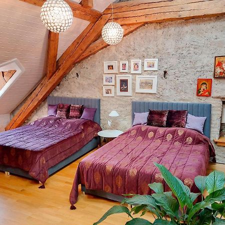 Maison D'Ammann Fribourg Extérieur photo