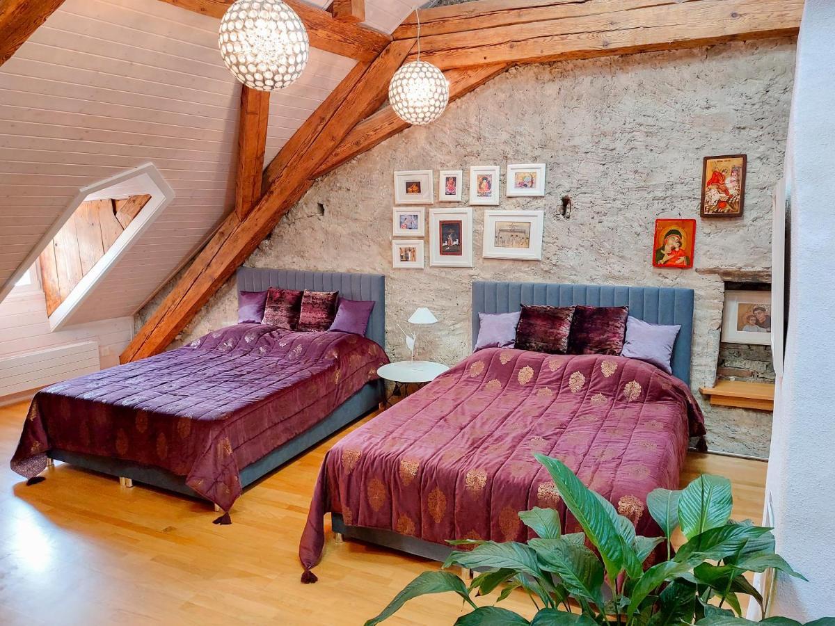 Maison D'Ammann Fribourg Extérieur photo